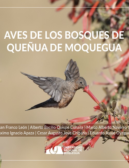 Aves de los Bosques de Queñua de Moquegua
